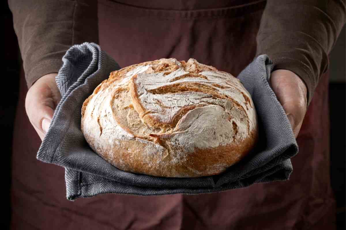 pane in padella 